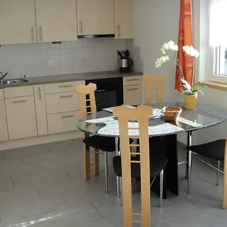Haus Alpenstern Alpi 公寓 萨斯格伦德